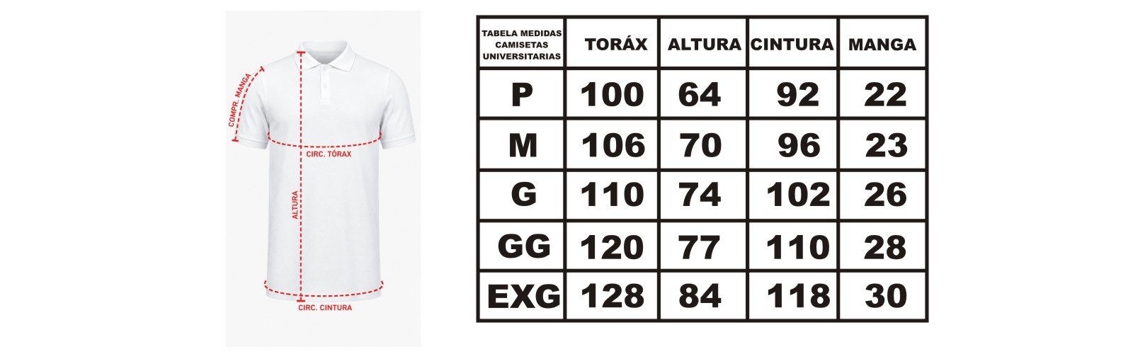 MEDIDAS CAMISETAS POLO PROMO